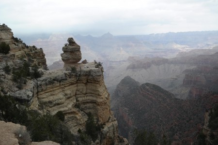 Wer findet die Ente?