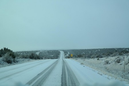 Am nächsten Morgen...