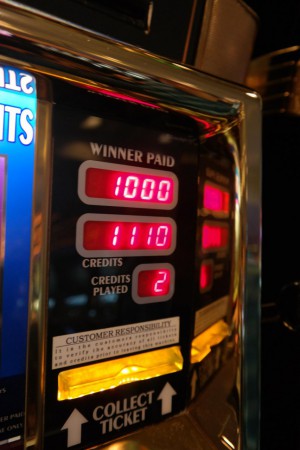 Wir haben gerade 1000$ gewonnen!!!!