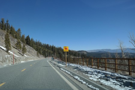 Bären haben wir leider (noch) keine gesehen :-(