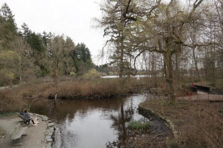 An der Lost Lagoon im Stanley Park